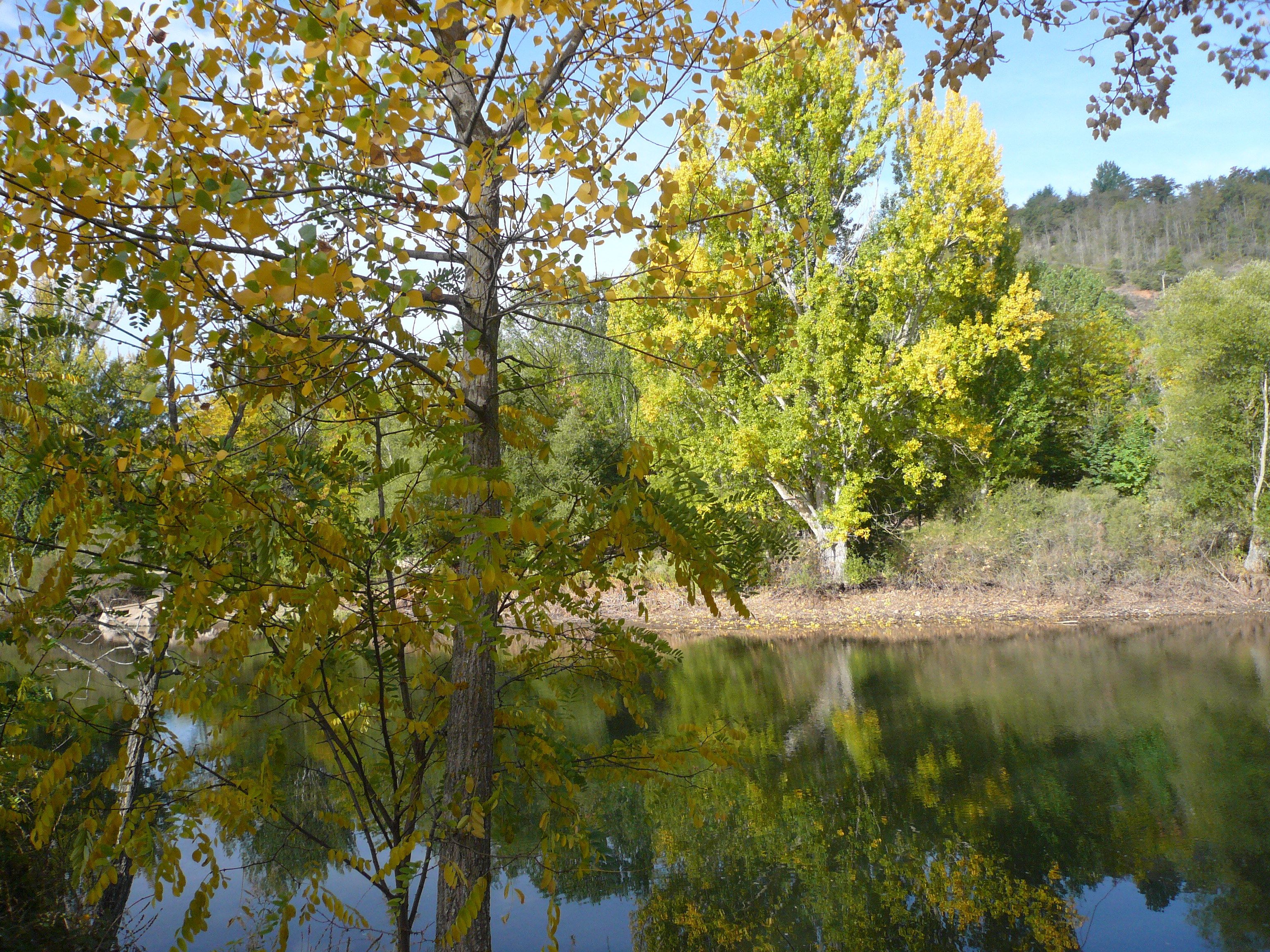 EL OTOÑO Y LOS ESTADOS EMOCIONALES- FOTO CONSUELO TOMÁS- 18-09-2014