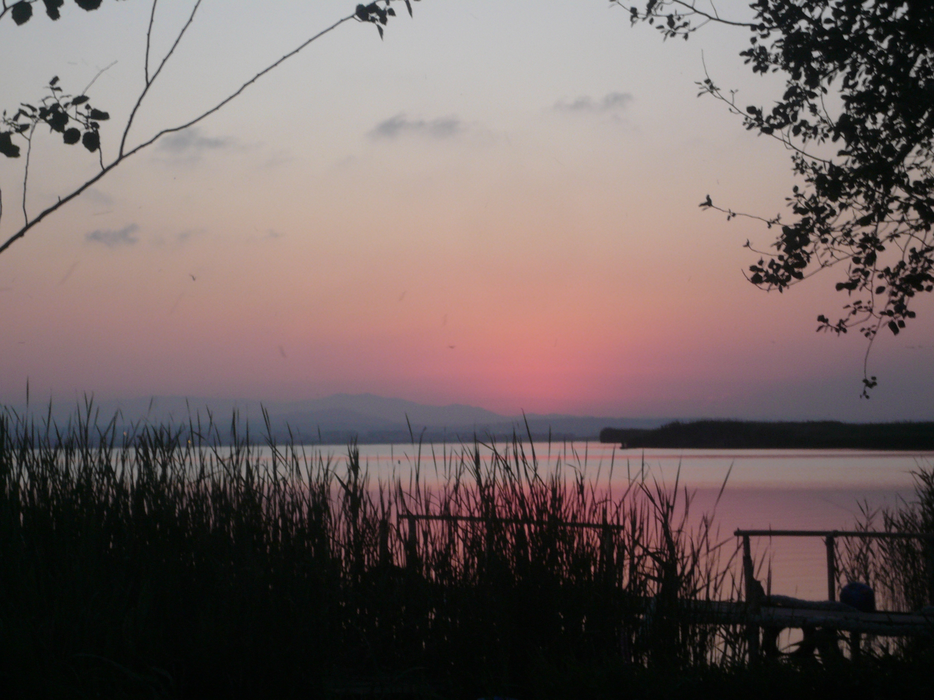 LA IMPORTANCIA DE LA RELAJACIÓN. ATARDECER EN LA ALBUFERA. VALENCIA. FOTO CONSUELO TOMÁS. PSICOLOGOSVALENCIA.NET.