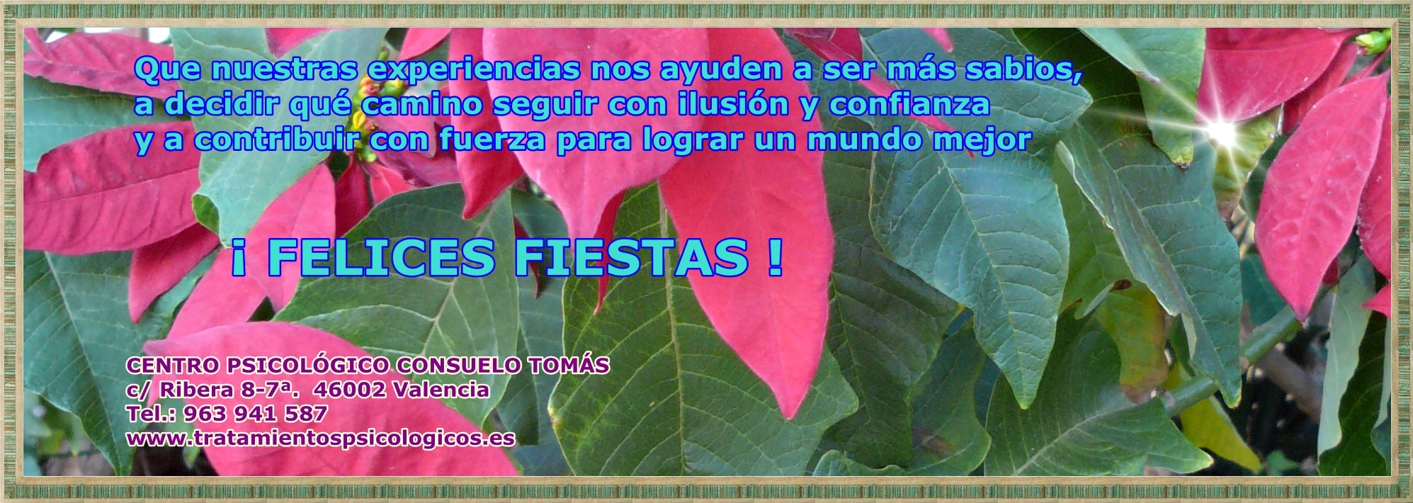foto-consuelo-tomas-15-12-2016-felices-fiestas-centro-psicologico-consuelo-tomas-psicologos-valencia-tratamientos-psicologicos