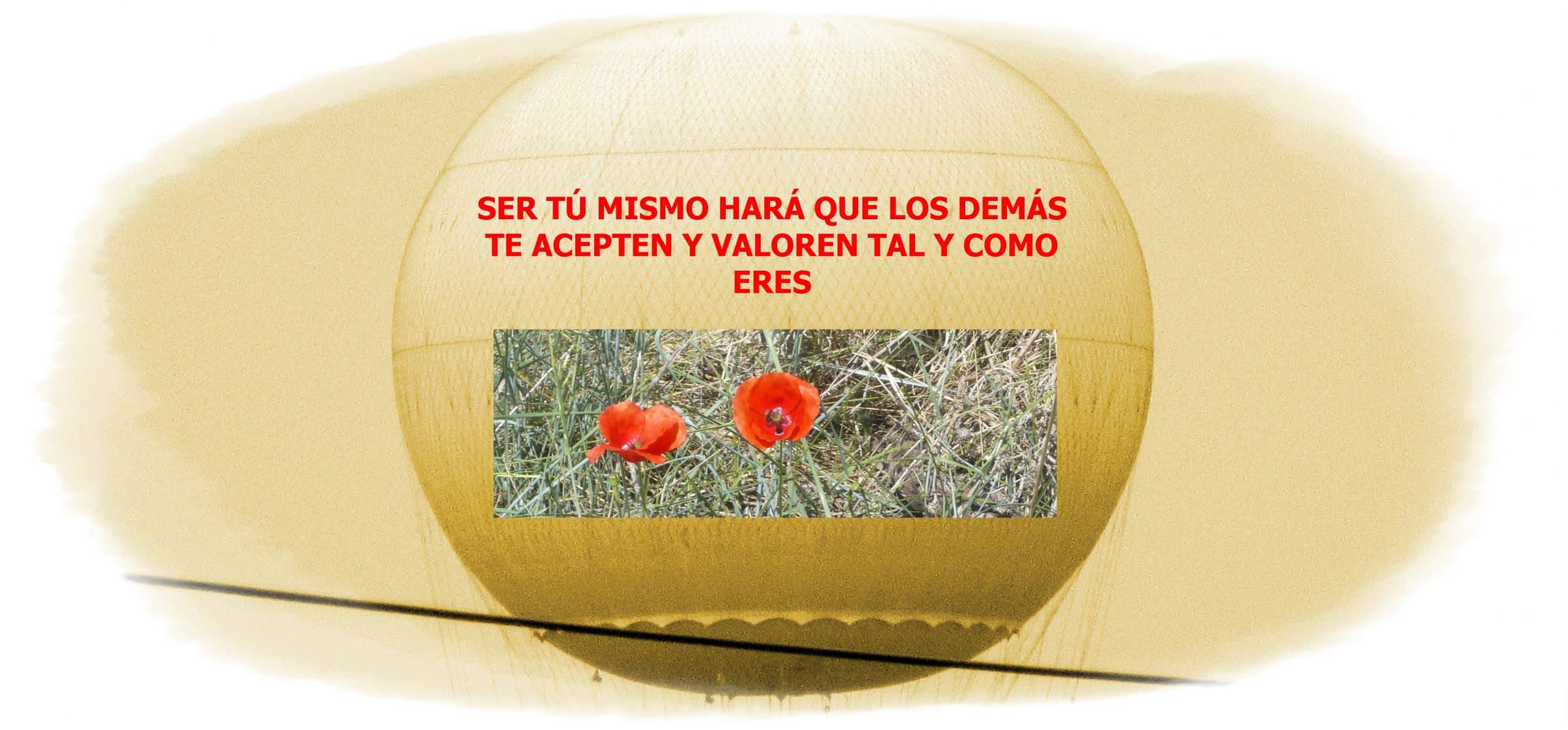 Aprender a decir NO - Foto Consuelo Tomás 01-03-2018 - psicológos Valencia - hablidades sociales - asertividad - terapia psicológica Valencia - ansiedad - depresión- sexo