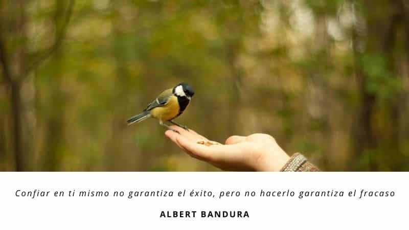 Confiar en ti mismo no garantiza el éxito, pero no hacerlo garantiza el fracaso