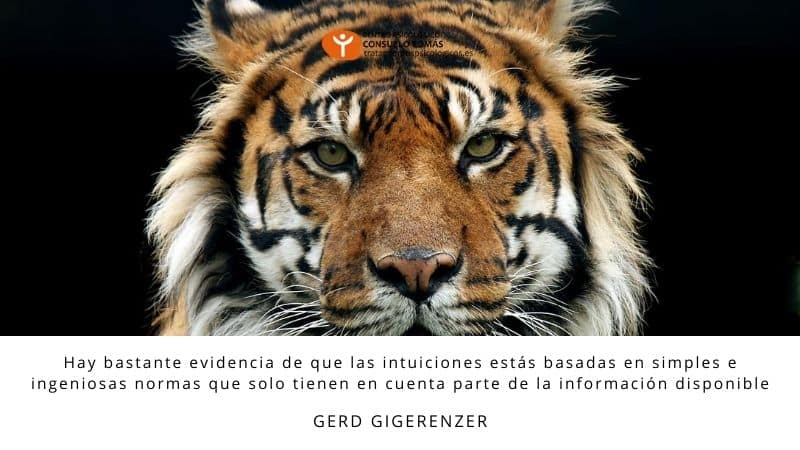 Hay bastante evidencia de que las intuiciones estás basadas en simples e ingeniosas normas que solo tienen en cuenta parte de la información disponible