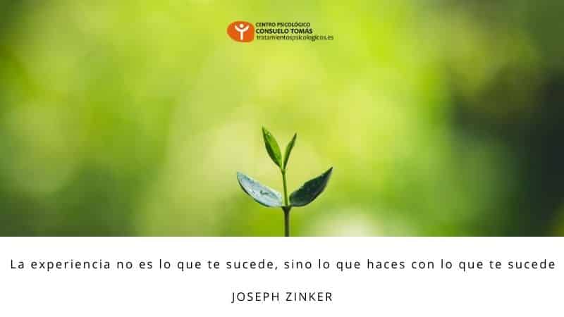 La experiencia no es lo que te sucede, sino lo que haces con lo que te sucede. (Joseph Zinker)